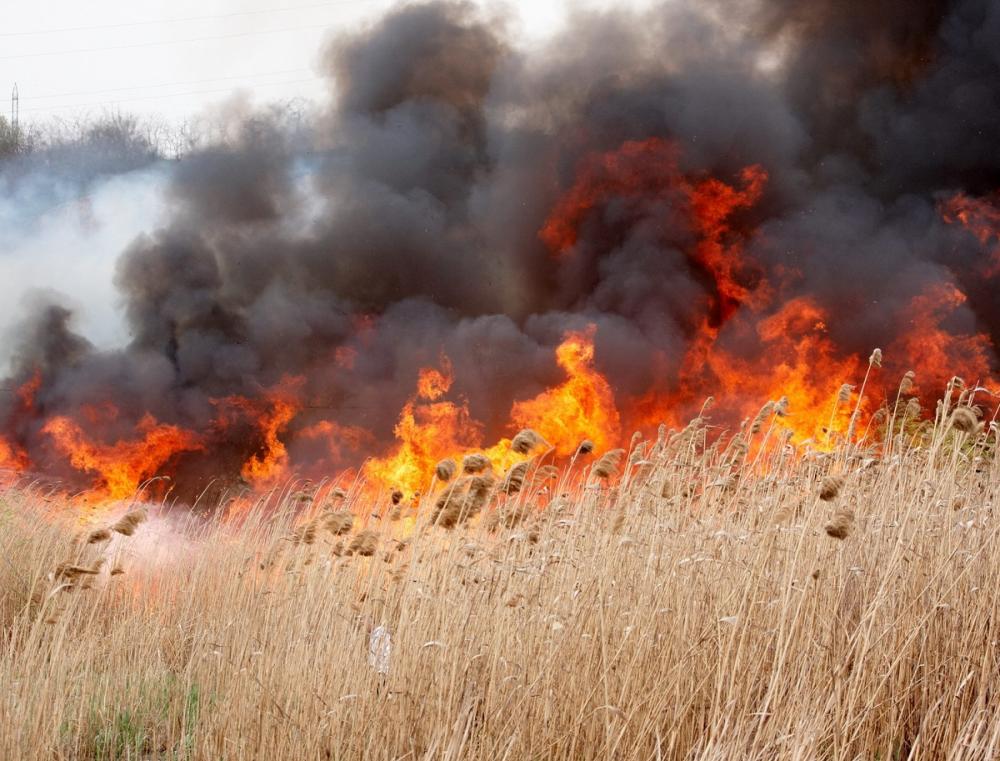 Arderea vegetatie uscate, miristilor si a resturilor vegetale- obligatii si aspecte legislative