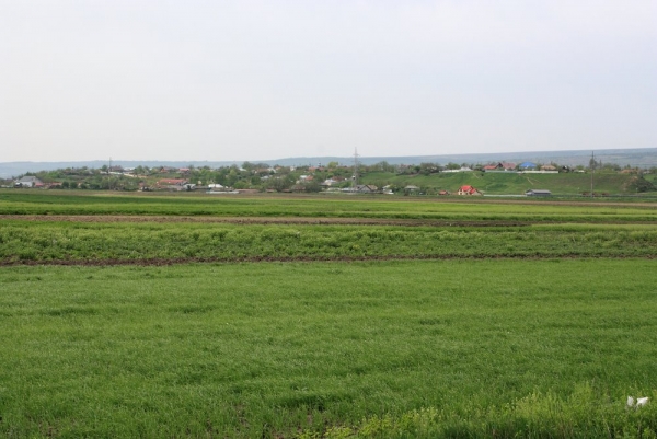 Satul Oţetoaia - imagine panoramică